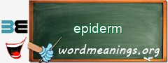 WordMeaning blackboard for epiderm